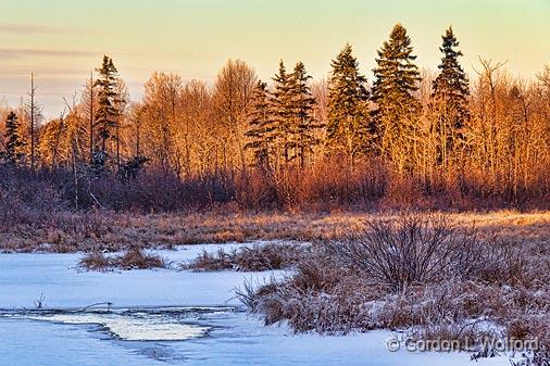 Freezing Brassils Creek_03416.jpg - Photographed at sunrise near Burritts Rapids, Ontario, Canada. 